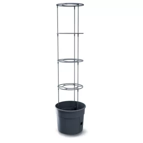   Prosperplast TOMATO GROWER kaspó paradicsom termesztésre 39,2 cm antracit