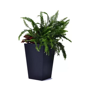 Keter Rattan kaspó M 55,4 l grafit