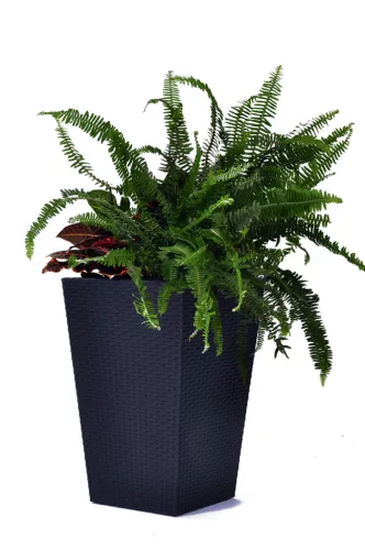 Keter Rattan kaspó M 55,4 l grafit