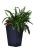 Keter Rattan kaspó M 55,4 l grafit