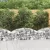 íves horganyzott vas gabion kosár 150x50x40/60 cm