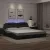 fekete ágykeret Viana LED-ekkel matrac nélkül 200x200 cm