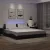 vidaXL fekete és fehér ágykeret LED-ekkel matrac nélkül Zadar 200x200 cm