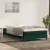 vidaXL sötétzöld bársony rugós ágy matrac nélkül 120x220 cm