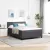 vidaXL LED Box Spring Ágy Sötétszürke és Fehér 160 x 200 cm