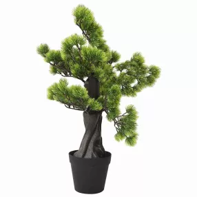 Zöld cserepes mű fenyőbonsai 60 cm