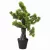 Zöld cserepes mű fenyőbonsai 60 cm