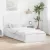 vidaXL Tárolós Ágy fiókkal fejtámlával Fehér 70 x 190 cm Faanyag