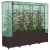 rattan megjelenésű magaságyás melegháztakaróval 160x40x153 cm