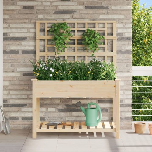 Kerti Virágláda Trellis-szel és Polccal 115x59x152 cm Tömör Fenyő