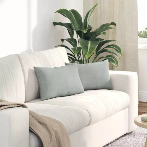 Kanapé párnák 2 pcs Világosszürke 50 x 30 cm Bársonyos szövet