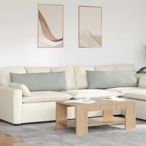   Kanapé párnák 2 pcs Világosszürke 120 x 40 cm Bársonyos szövet
