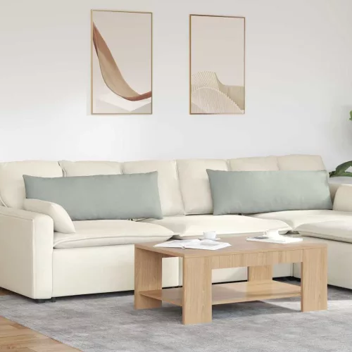 Kanapé párnák 2 pcs Világosszürke 120 x 40 cm Bársonyos szövet