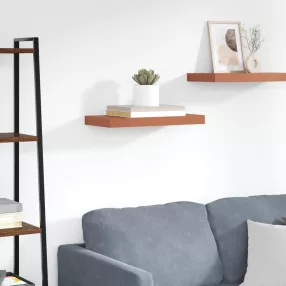   Falpolc Falra szerelhető tárolóval Piros 50 x 23 x 4 cm Faanyag