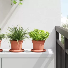   vidaXL Kerek Virágcserép 6 pcs Tégla Vörös Ø 12,5 x 10 cm Műanyag