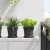 vidaXL Kerek Virágcserép 6 pcs Fekete Ø 17 x 14 cm Műanyag