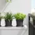 vidaXL Kerek Virág Tálca 24 pcs Fekete Ø 14 x 2 cm Műanyag