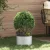 Horganyzott Fém Cserép Horganyzott Horganyzott Fém 30 cm átmérő